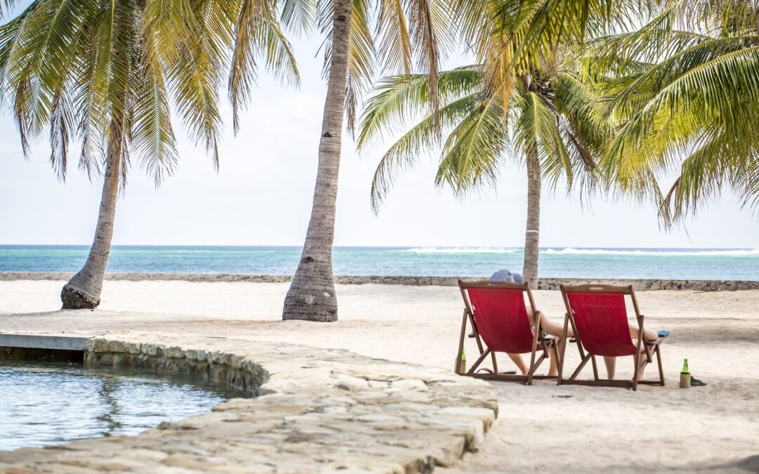 lounging-with-palm-trees